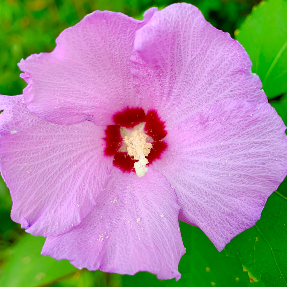 Meet your Posher, Posh